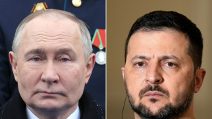 Zelensky quer que Trump participe de possíveis negociações com a Rússia na Turquia