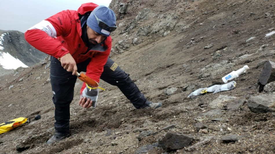 Científicos chilenos identifican desconocidas bacterias hiperresistentes en la Antártida
