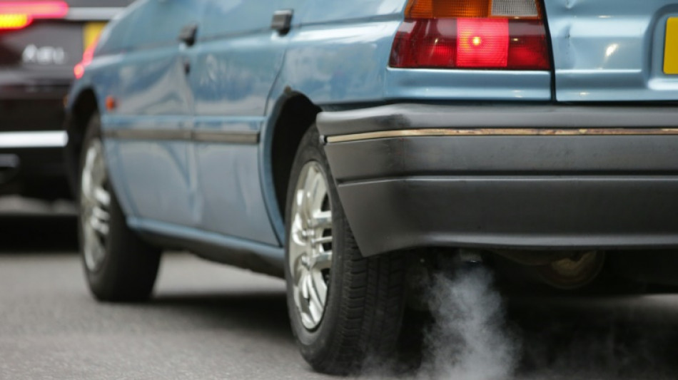 Gr&uuml;ne fordern von Scholz Klarstellung zu Klimaschutzgesetz