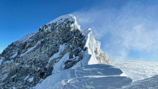 Quatre Britanniques au sommet de l'Everest, à toute allure et sous xénon