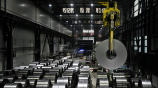 Bundesregierung appelliert an "Verantwortung" der Thyssenkrupp-F&uuml;hrung