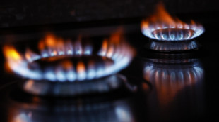 Il gas chiude in forte calo ad Amsterdam (-4,2%)