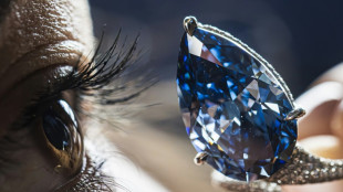 Diamante azul vivo &eacute; vendido por mais de US$ 25 milh&otilde;es em Genebra