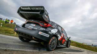 Ogier derails title tilt in wild crash at Central European Rally