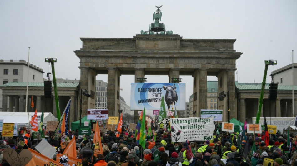 Mehrere tausend Menschen demonstrieren in Berlin f&uuml;r andere Agrarpolitik