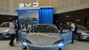 Auto-Experte Dudenh&ouml;fer warnt vor EU-Z&ouml;llen auf chinesische E-Autos