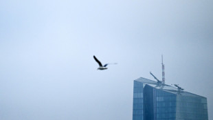 IA ainda n&atilde;o elimina empregos em massa na Europa, dizem economistas do BCE