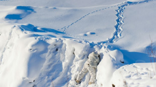 Dans le froid intense de l'Arctique, le Canada prépare sa défense