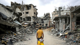 Unesco atribui Pr&ecirc;mio Mundial para a Liberdade de Imprensa a jornalistas palestinos em Gaza