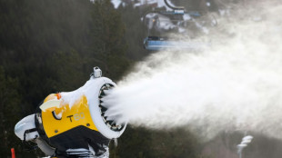 Pyr&eacute;n&eacute;es: la neige artificielle, planche de salut du ski &agrave; Font Romeu