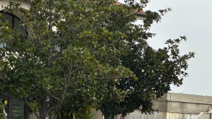 Tribunale, 'allontanare la madre e separare i bimbi del bosco'