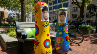 Cibles de violences, les personnalit&eacute;s de l'IA cristallisent angoisses et rancoeur