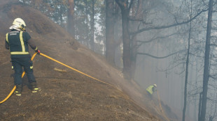 Espagne: l'incendie de Tenerife "stabilisé", annoncent les autorités locales