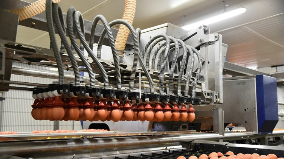 Les Français mettent plus d'oeufs dans leur panier