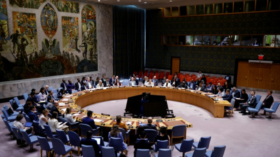 El Consejo de Seguridad de la ONU sostendr&aacute; una reuni&oacute;n sobre la IA