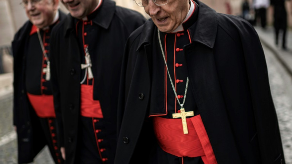 Diplomacy likely to trump geography in choice of new pope