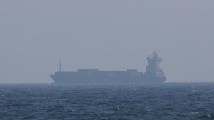 Agenzia Gb, 'colpito mercantile nel Golfo Persico, esplosione a bordo'