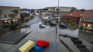 Lego posts record profit despite geopolitical turmoil: CEO to AFP