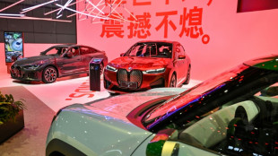 BMW-Chef Zipse warnt vor Einf&uuml;hrung von EU-Strafz&ouml;llen auf E-Autos aus China