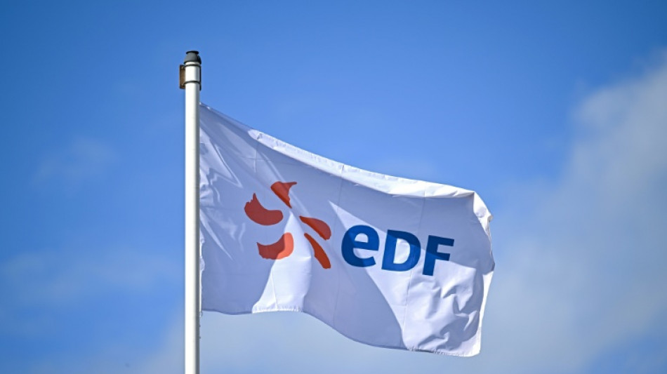 Nouveaux r&eacute;acteurs d'EDF: l'UE ouvre une enqu&ecirc;te sur les aides de l'Etat fran&ccedil;ais
