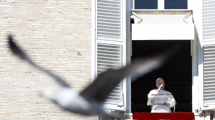 Il Papa, le strategie militari non danno futuro all'umanit&agrave;