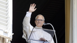 Papa Leone informato del raid sulla chiesa di Gaza