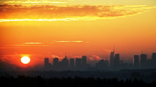 Polish migrants return home to a changed country