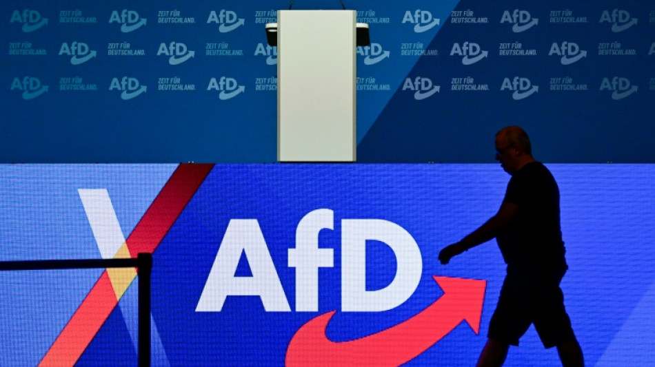 AfD sieht keinen Zusammenhang zwischen Waldbr&auml;nden und Klimawandel