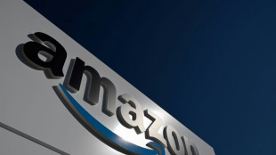 Taxe Gafa: le fisc somm&eacute; de rendre pr&egrave;s de 24 millions d'euros &agrave; Amazon 