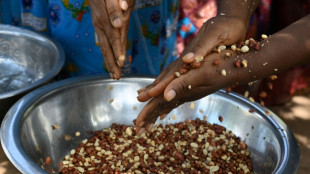 Australia launches landmark peanut allergy treatment for babies