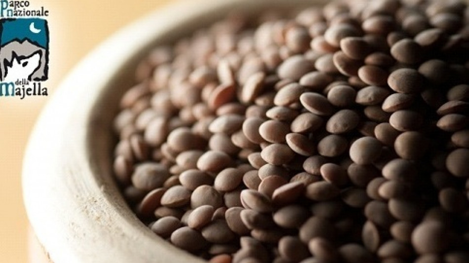 Tumori, con fibre in dieta migliore resistenza al cancro