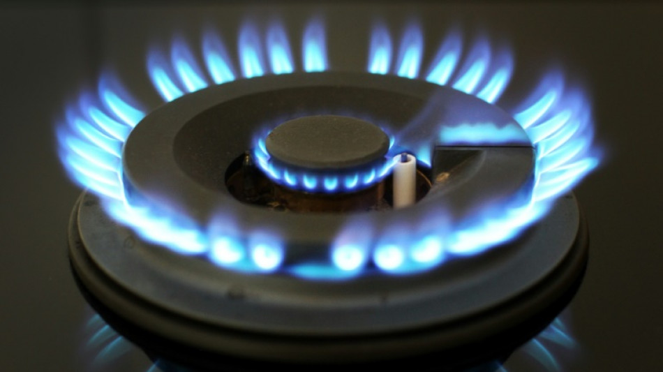 Bundestag stimmt f&uuml;r Verl&auml;ngerung der Energiepreisbremsen bis Ende M&auml;rz