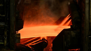 Vor Stahlgipfel im Kanzleramt: Reiche kündigt Industriestrompreis ab 1. Januar an