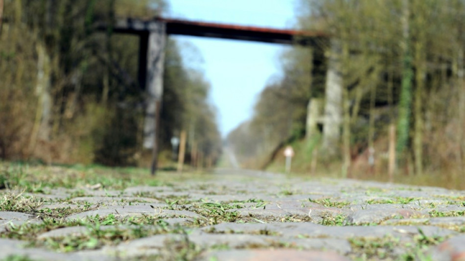 Paris-Roubaix: recherche brebis pour la Trouée d'Arenberg