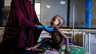 El papa pide ayuda para luchar contra la sequ&iacute;a que asola Somalia 