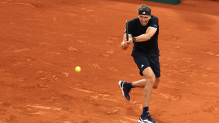 Roland Garros: Zverev vola in semifinale, battuto Jodar