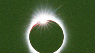 Domani la prima eclissi solare del 2026, visibile dall'Antartide