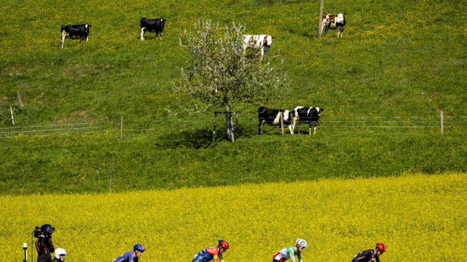 Il Tour de France 2028 partir&agrave; da Reims
