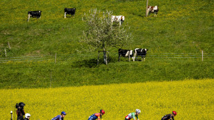 Il Tour de France 2028 partir&agrave; da Reims