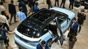China prorroga las exenciones fiscales para comprar coches el&eacute;ctricos e h&iacute;bridos