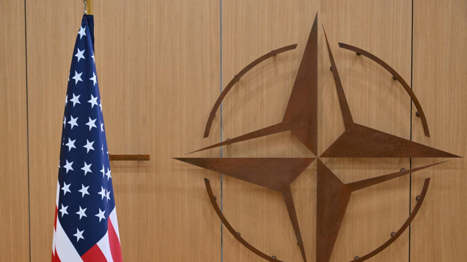 'Usa, l'Europa prenda il controllo della Nato entro 2027'