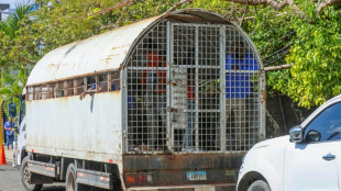 República Dominicana deportou mais de 119 mil haitianos em 2025