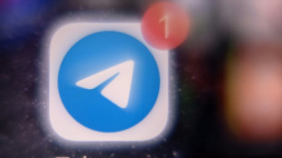 Telegram-Beitrag mit Hakenkreuz geteilt: Geldstrafe für Hamburger AfD-Politikerin