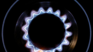 Il prezzo del gas apre in rialzo a 50,88 euro al megawattora