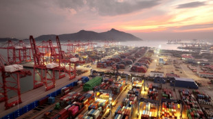 OMC melhora suas previsões para comércio mundial em 2025