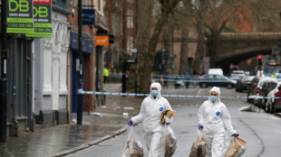 Angleterre : la garde &agrave; vue de l'automobiliste qui a percut&eacute; des pi&eacute;tons se poursuit