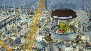 Gro&szlig;britannien erw&auml;gt Bau von weiterem Atomkraftwerk