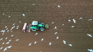 Ende der Agrardiesel-Subvention: Bauernverband ruft f&uuml;r Montag zu Protest auf