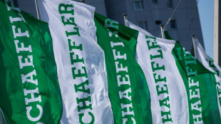 Autozulieferer Schaeffler will fr&uuml;here Continental-Antriebssparte Vitesco kaufen