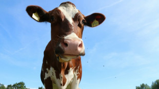 Milcherzeuger kritisieren zu niedrige Preise f&uuml;r ihre Produkte